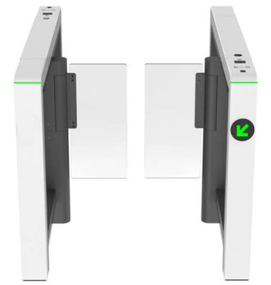 PROS1000B Turnstile